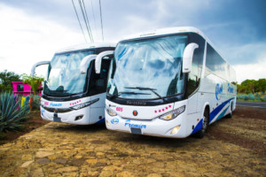 Autobuses TIM Premier - Comparte tu viaje en redes sociales