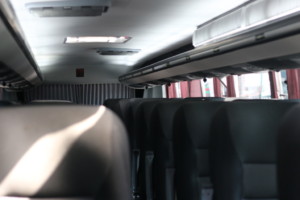 Autobuses TIM Premier